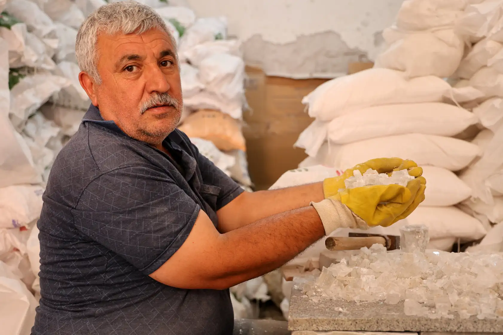 Yazın gelmesiyle birlikte turşu ve peynir yapacaklar bu ürüne yöneldi
