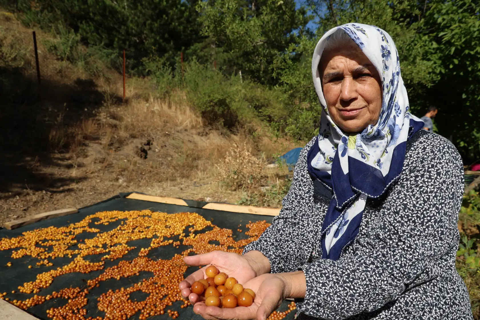 Dalında kaldı, çöpe gitmedi! Satılamayan kirazlar bakın nasıl değerlendi