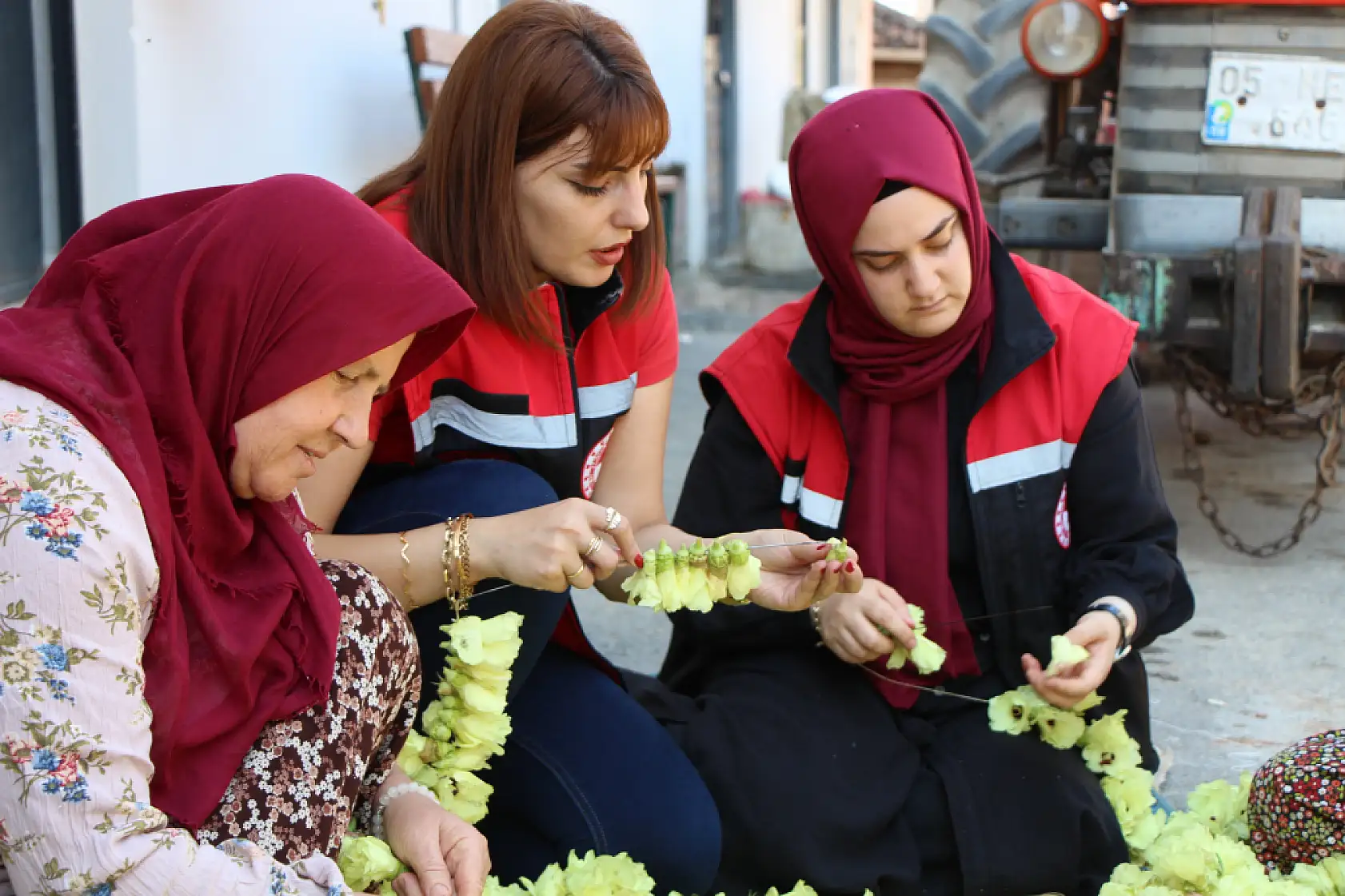 Amasya'nın altını Konya'da sofraları süslüyor
