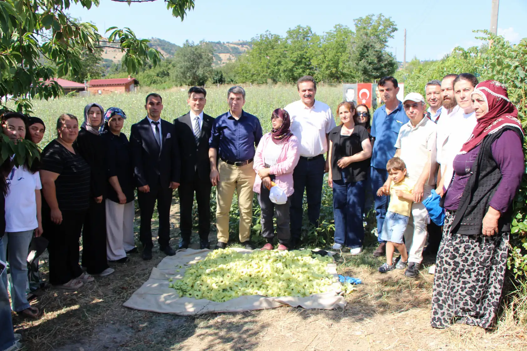 Amasya'nın altını Konya'da sofraları süslüyor