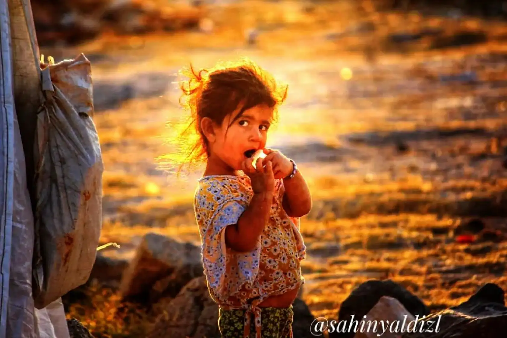 Her fotoğrafın bir hikayeyi anlatır: Dünya Fotoğrafçılık Günü'ne özel fotoğraflar!