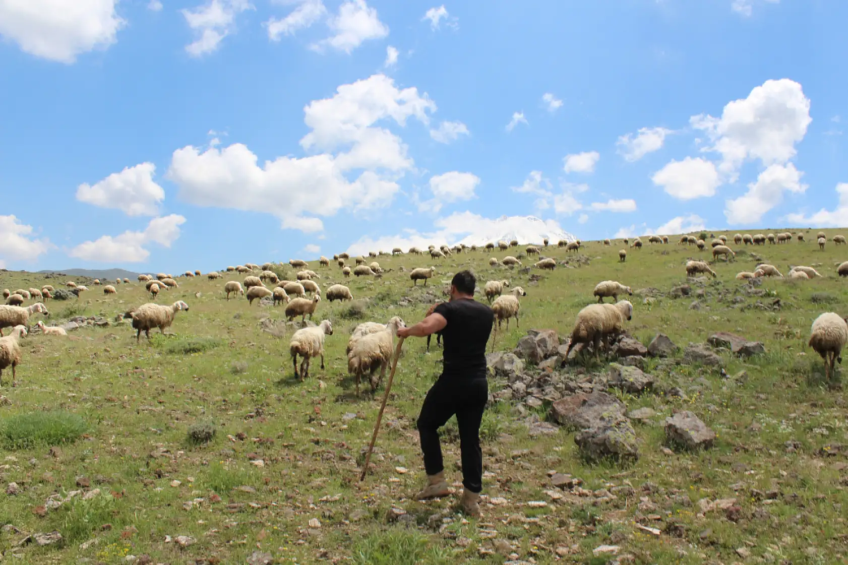 Üniformayı çıkarıp dağın eteğinde servet kurdu