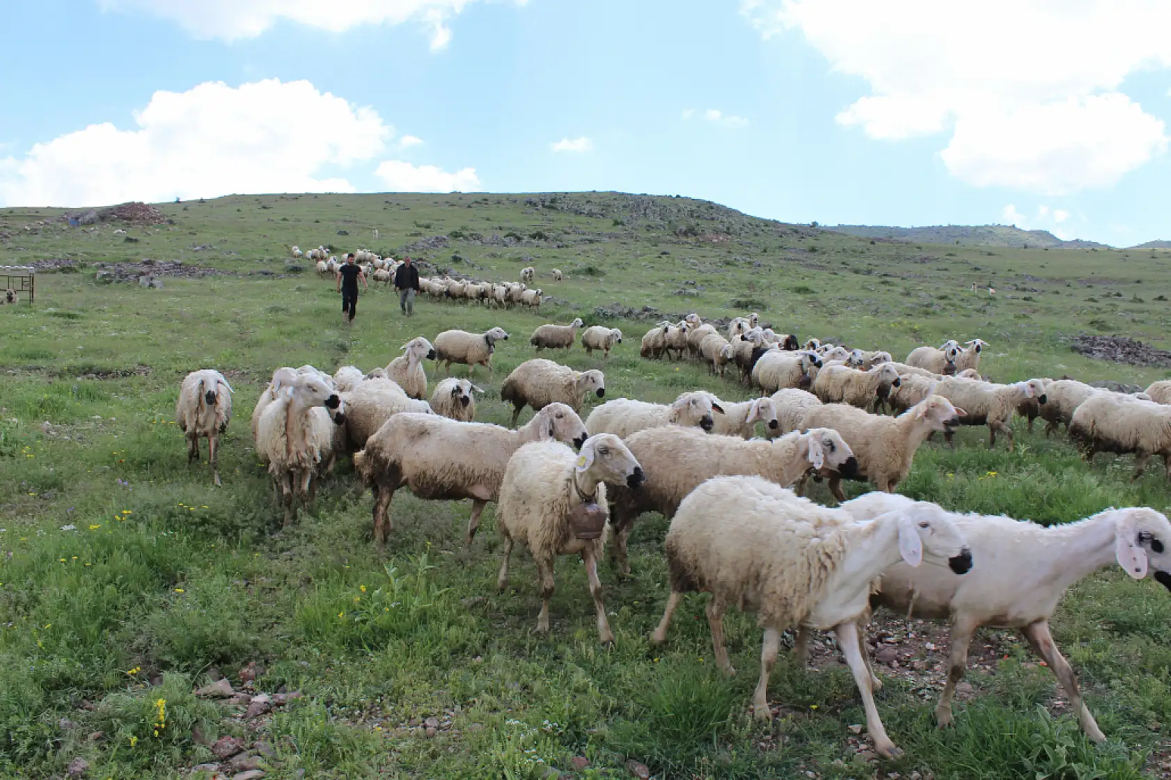Üniformayı çıkarıp dağın eteğinde servet kurdu