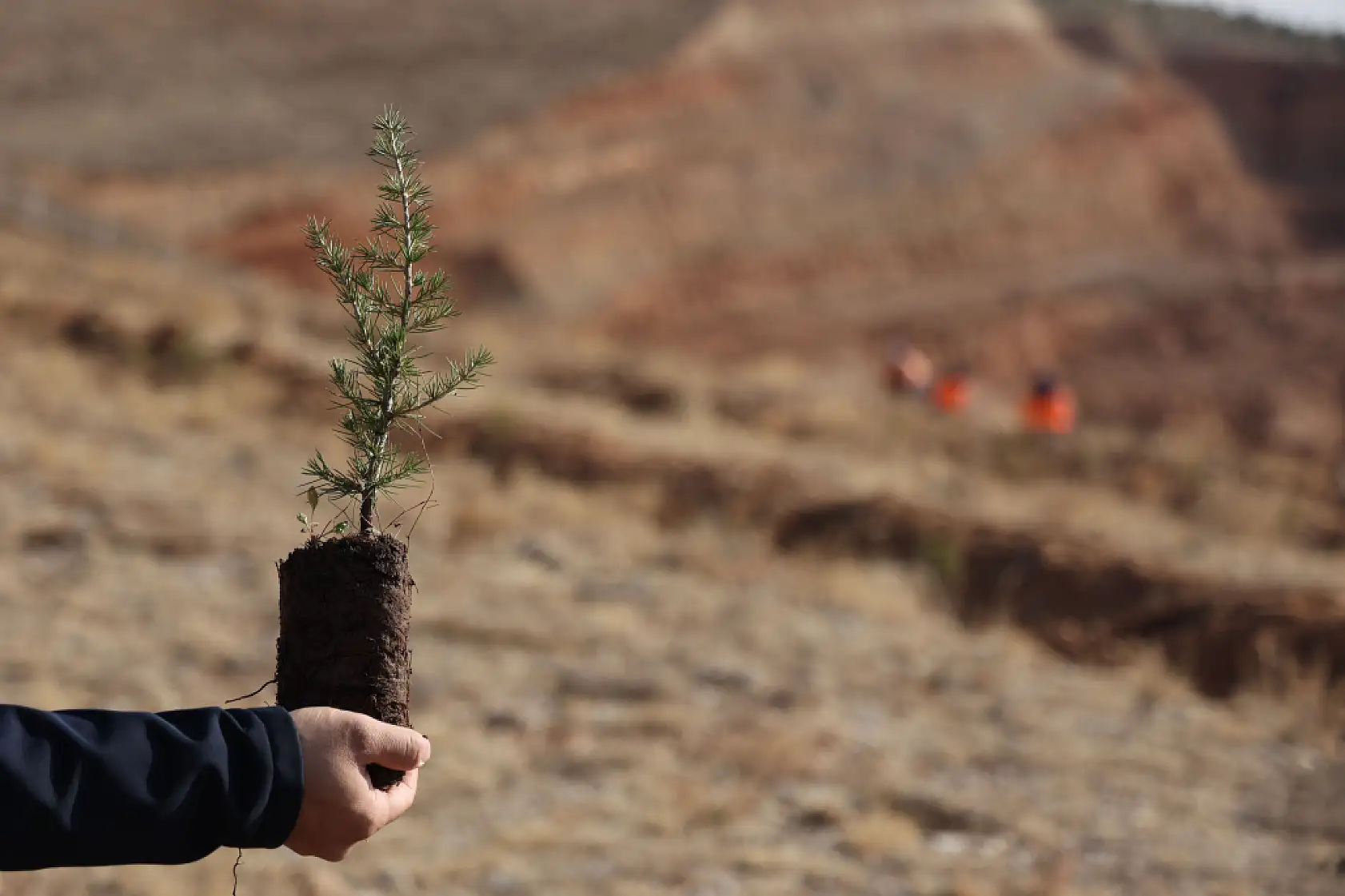 Minik eller geleceğe nefes oldu: Konya'da 15 bin yeni fidan toprakla buluştu
