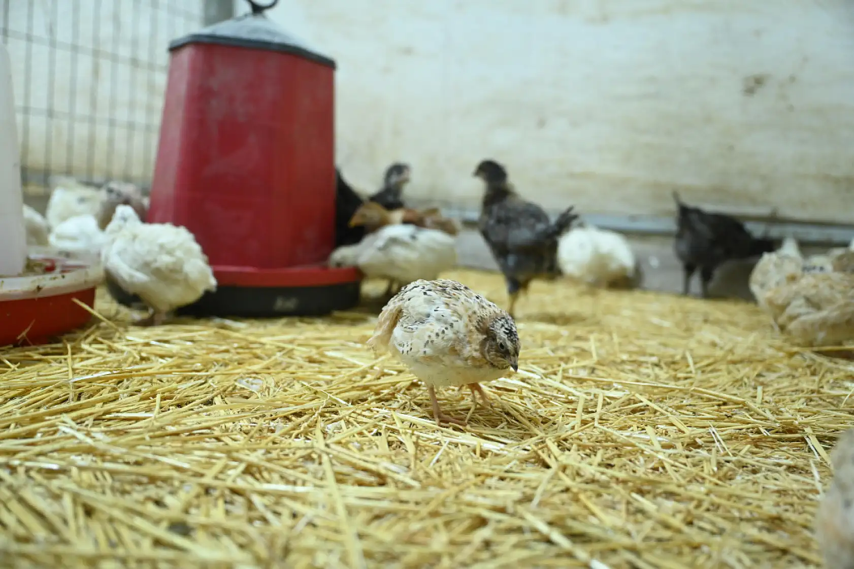 Kapısından giren büyüleniyor! Konya'daki o okula milletvekilinden tam not