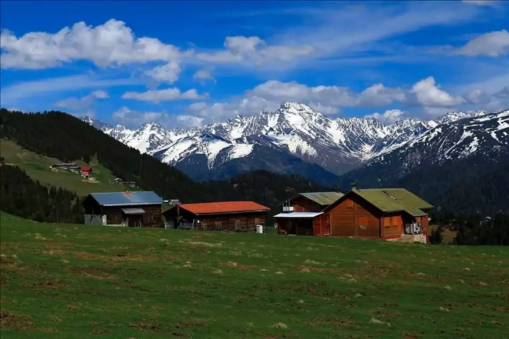Konya'da aralarında: Türkiye'nin en zeki şehirlerin sıralaması belli oldu!