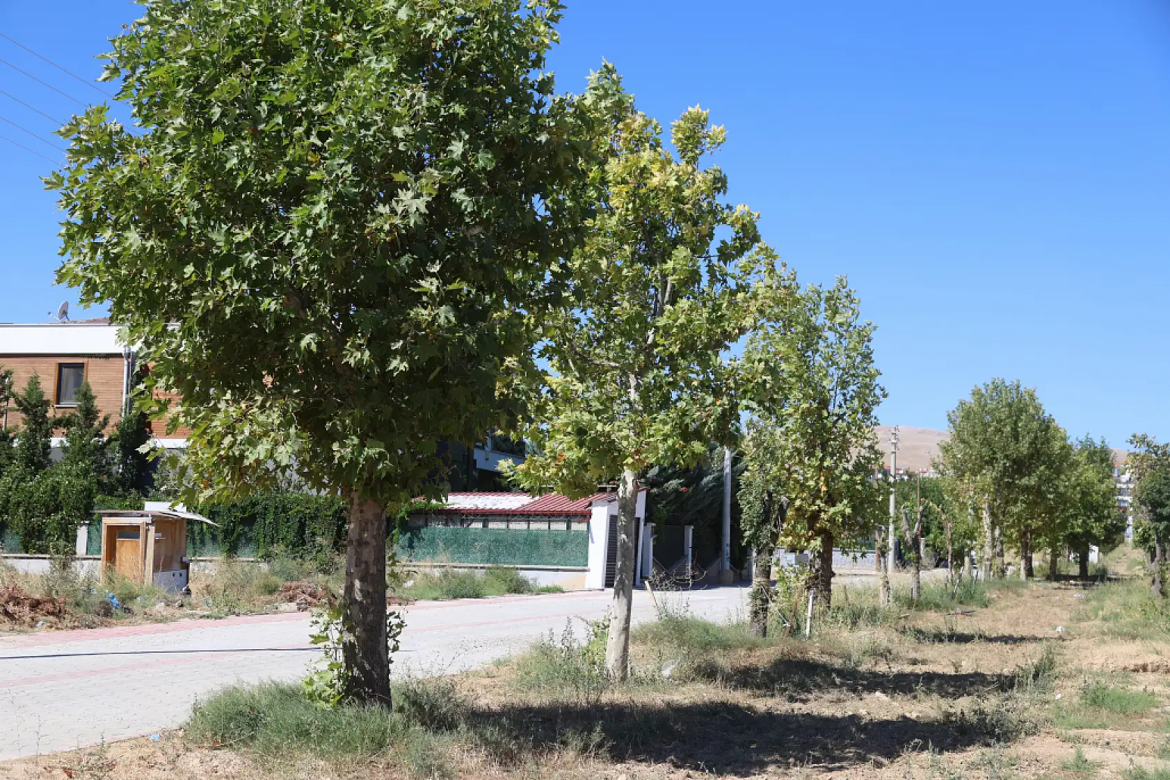 Konya'da dev proje için tek bir ağaca bile kıymadılar