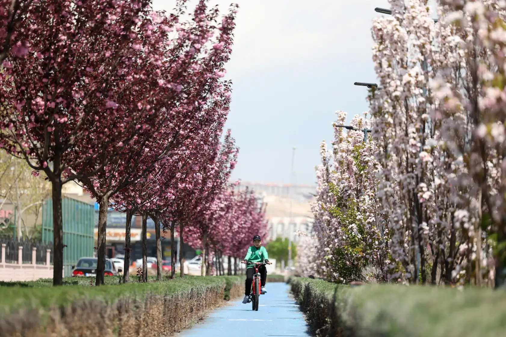 Konya mı, Kyoto mu? Kimse buranın İç Anadolu olduğuna inanmıyor!