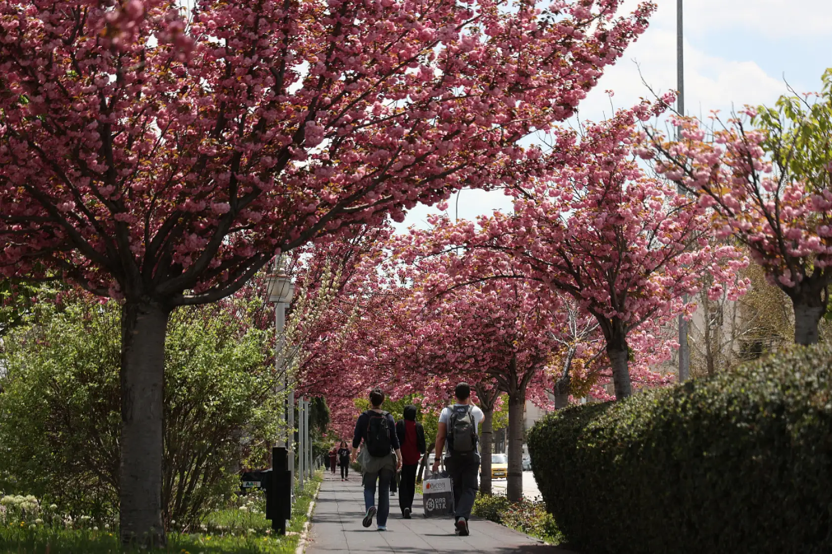 Konya mı, Kyoto mu? Kimse buranın İç Anadolu olduğuna inanmıyor!
