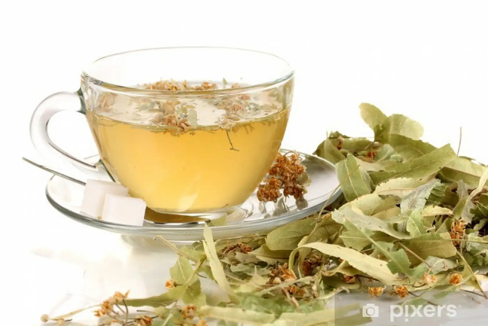 Kış mevsiminin şifa deposu