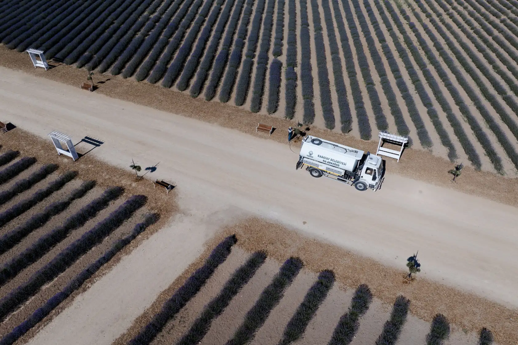 Karatay Lavanta Bahçesi ilgi odağı olmaya devam ediyor