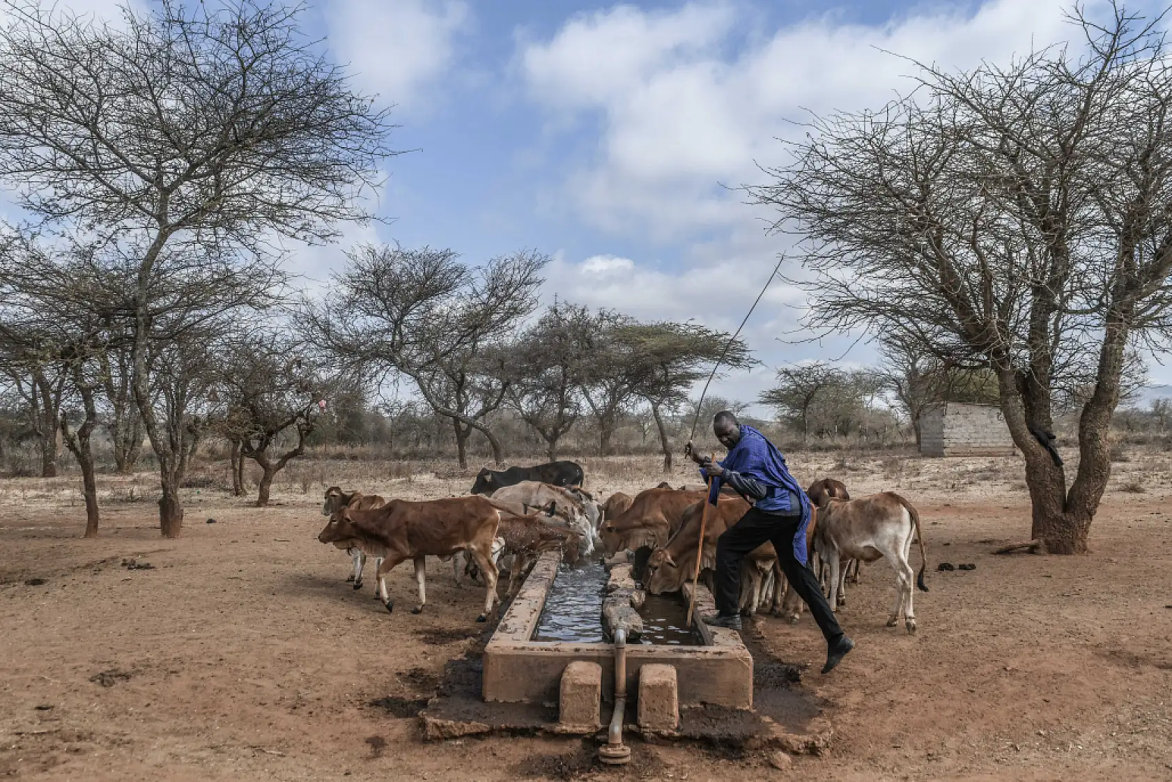 İklim değişikliği hayvancılıkla uğraşan halkı olumsuz etkiliyor