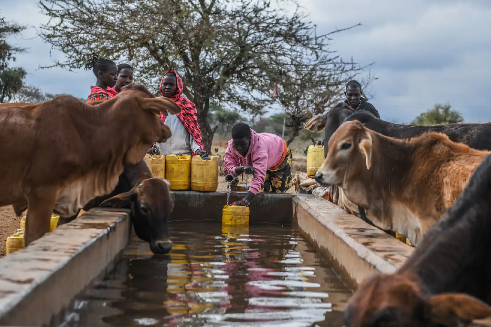 İklim değişikliği hayvancılıkla uğraşan halkı olumsuz etkiliyor