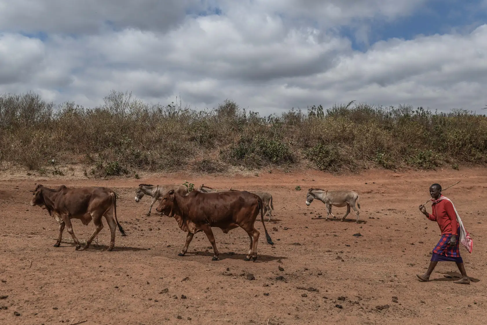 İklim değişikliği hayvancılıkla uğraşan halkı olumsuz etkiliyor