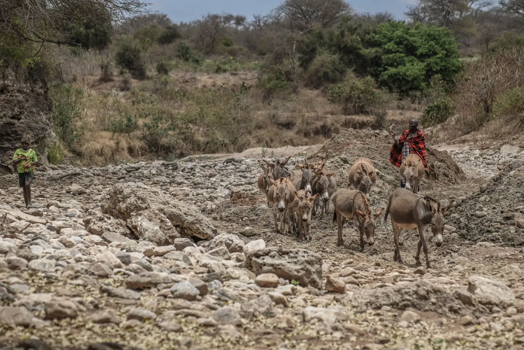İklim değişikliği hayvancılıkla uğraşan halkı olumsuz etkiliyor