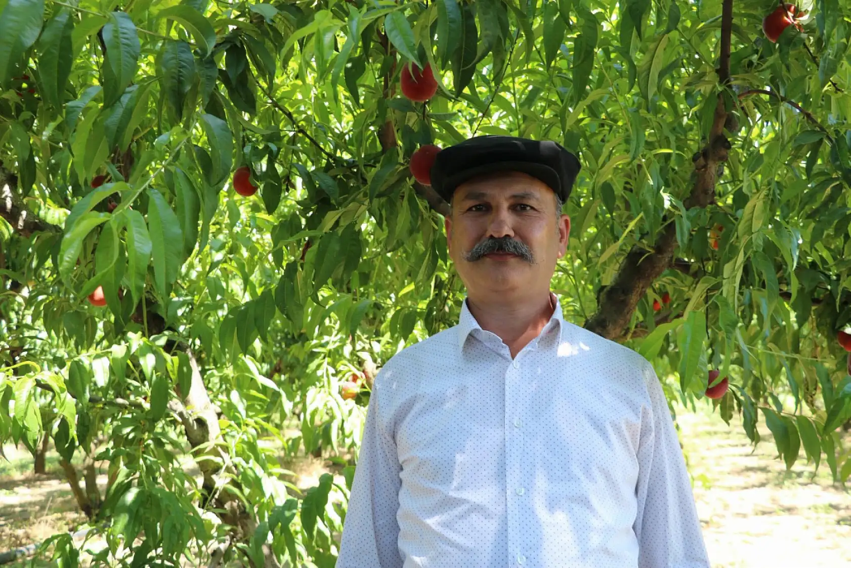 Konya'ya sevkiyat başladı! Üreticiler bu sezon için iddialı konuştu