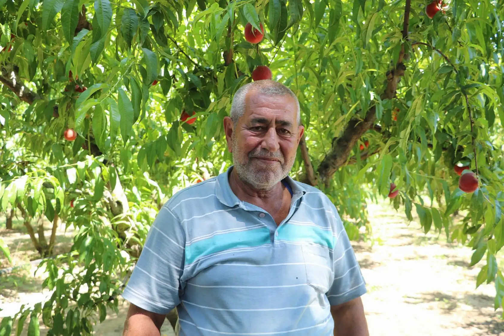 Konya'ya sevkiyat başladı! Üreticiler bu sezon için iddialı konuştu