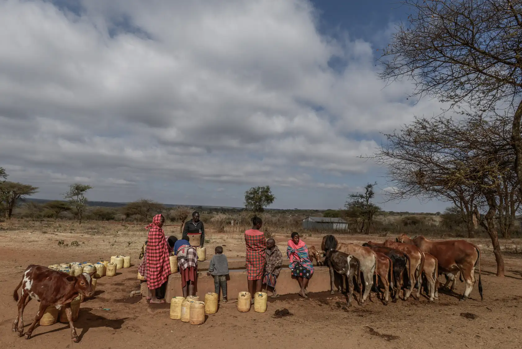 İklim değişikliği hayvancılıkla uğraşan halkı olumsuz etkiliyor