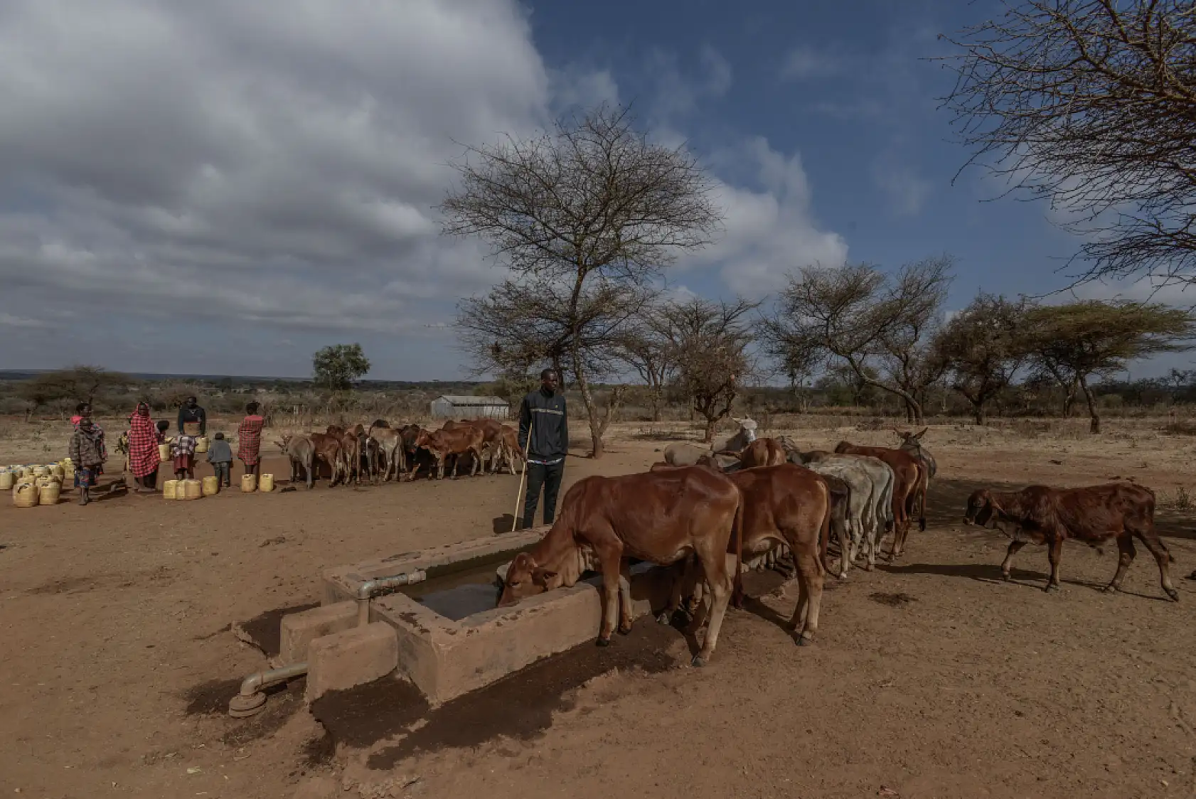 İklim değişikliği hayvancılıkla uğraşan halkı olumsuz etkiliyor
