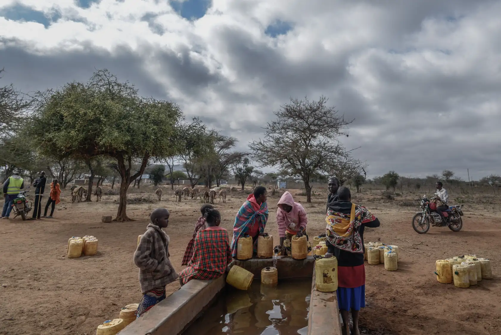 İklim değişikliği hayvancılıkla uğraşan halkı olumsuz etkiliyor