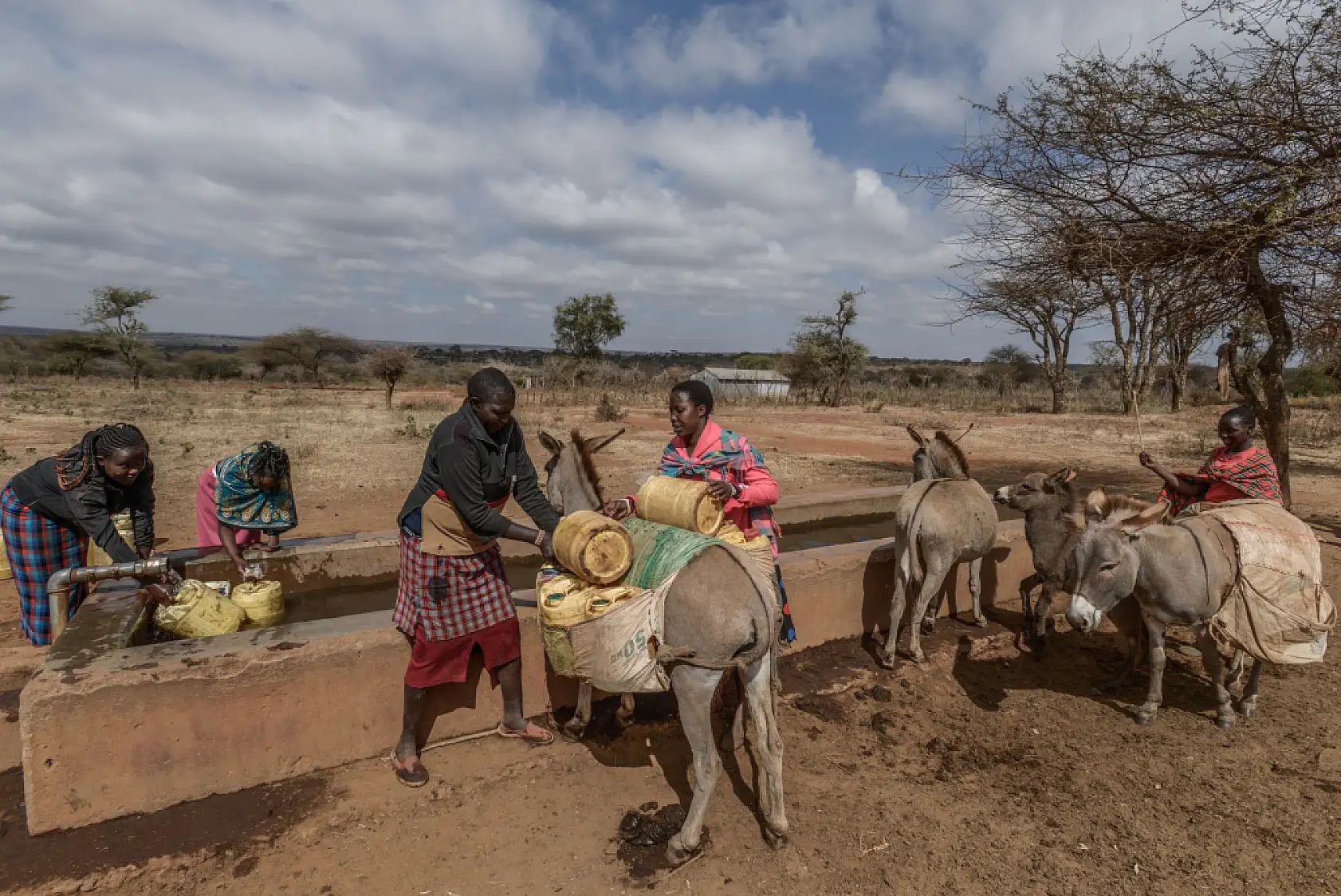 İklim değişikliği hayvancılıkla uğraşan halkı olumsuz etkiliyor
