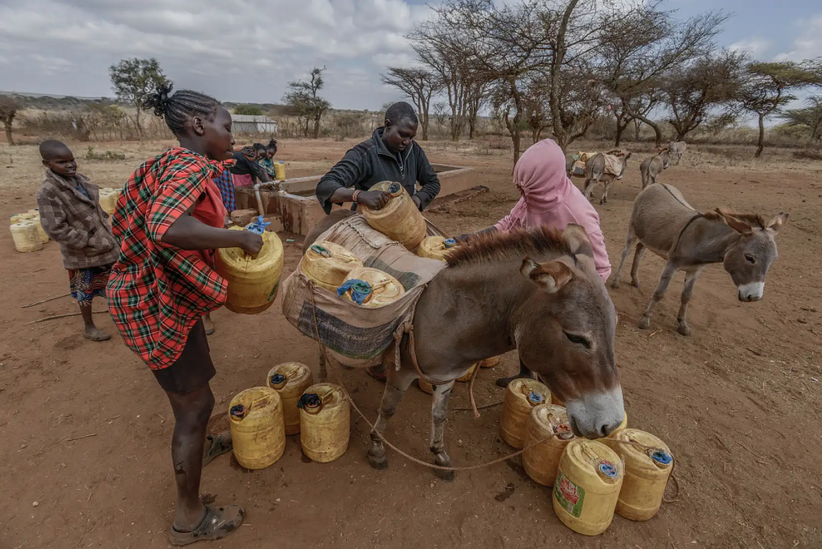 İklim değişikliği hayvancılıkla uğraşan halkı olumsuz etkiliyor