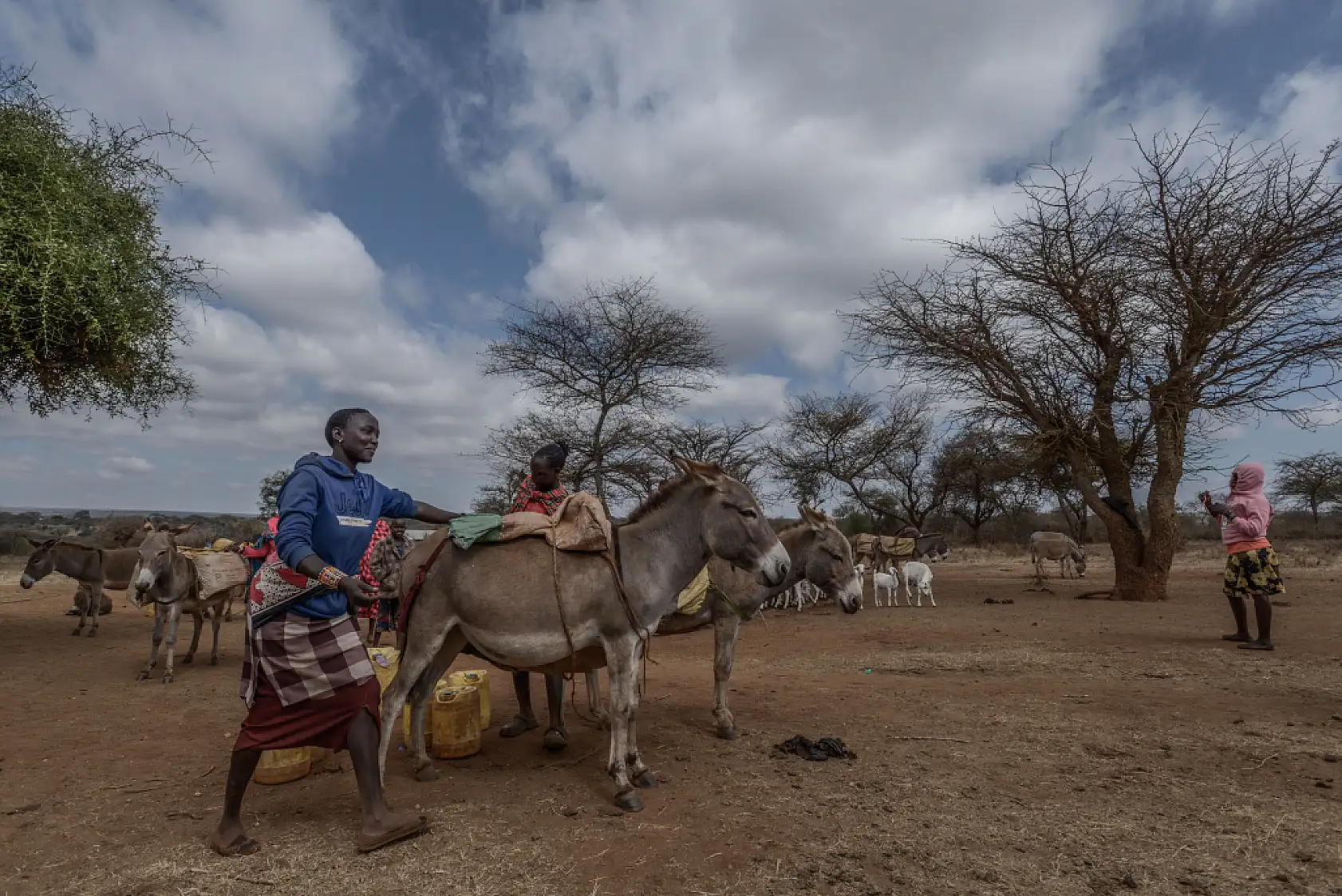 İklim değişikliği hayvancılıkla uğraşan halkı olumsuz etkiliyor