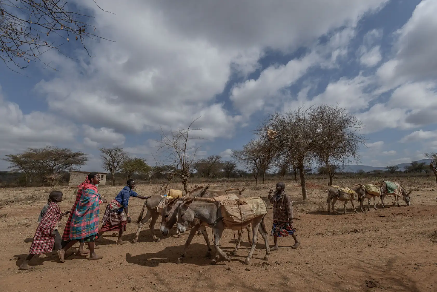 İklim değişikliği hayvancılıkla uğraşan halkı olumsuz etkiliyor