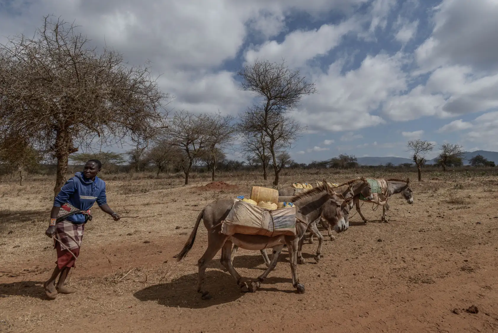 İklim değişikliği hayvancılıkla uğraşan halkı olumsuz etkiliyor