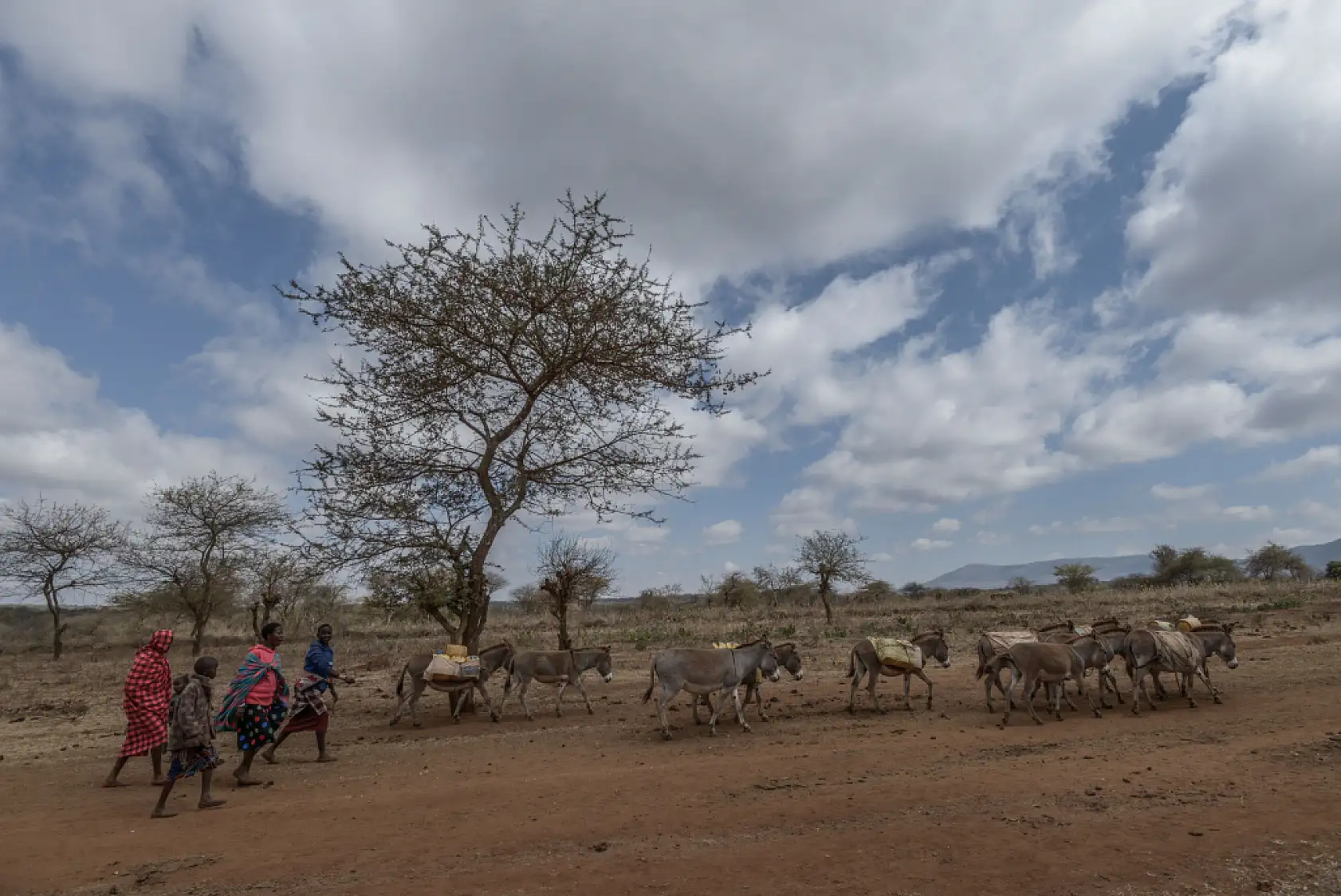 İklim değişikliği hayvancılıkla uğraşan halkı olumsuz etkiliyor