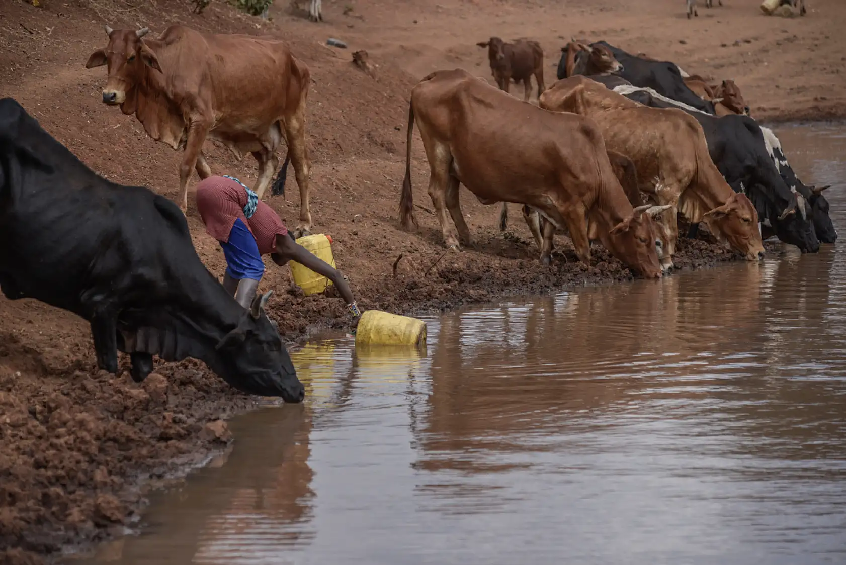 İklim değişikliği hayvancılıkla uğraşan halkı olumsuz etkiliyor