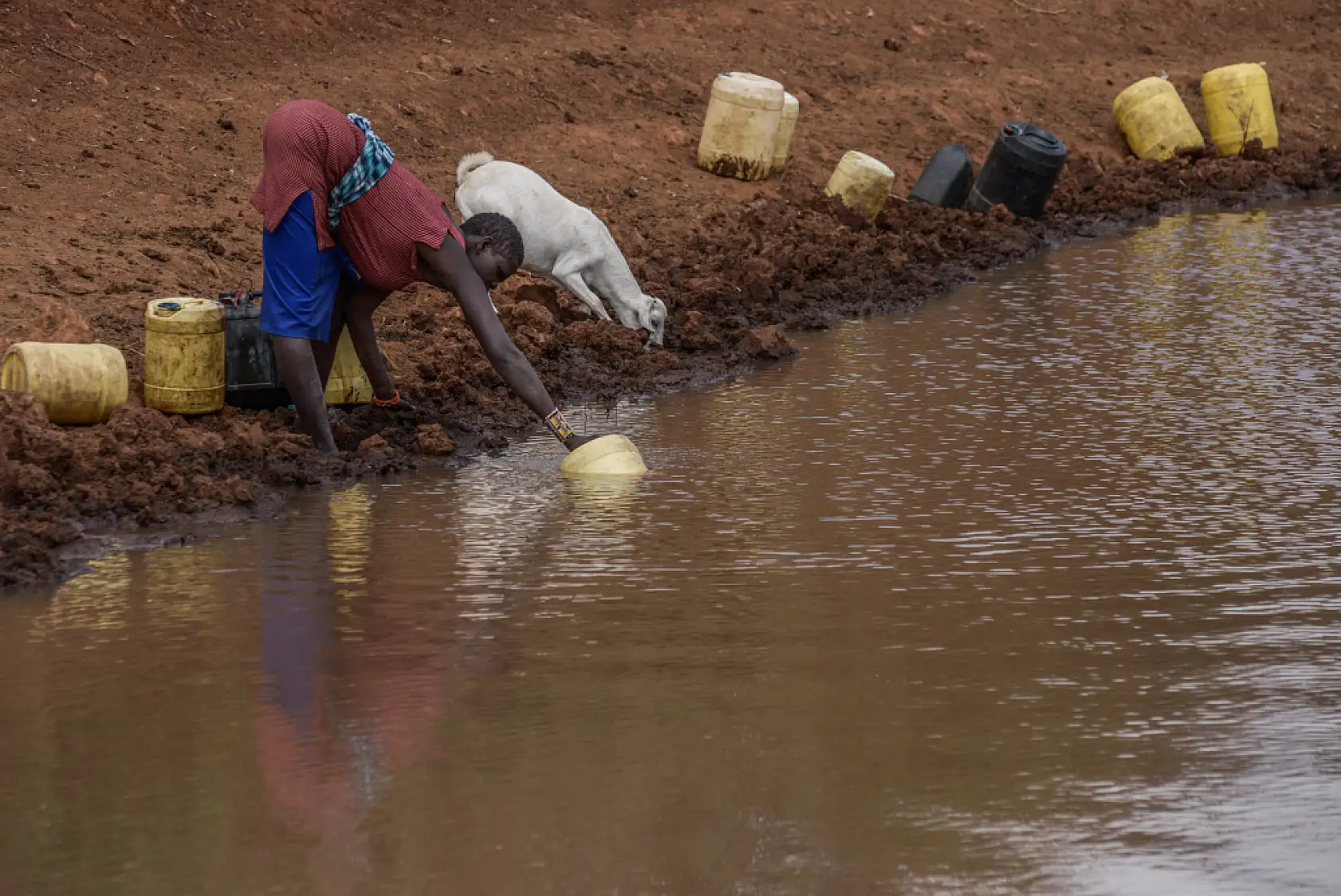 İklim değişikliği hayvancılıkla uğraşan halkı olumsuz etkiliyor