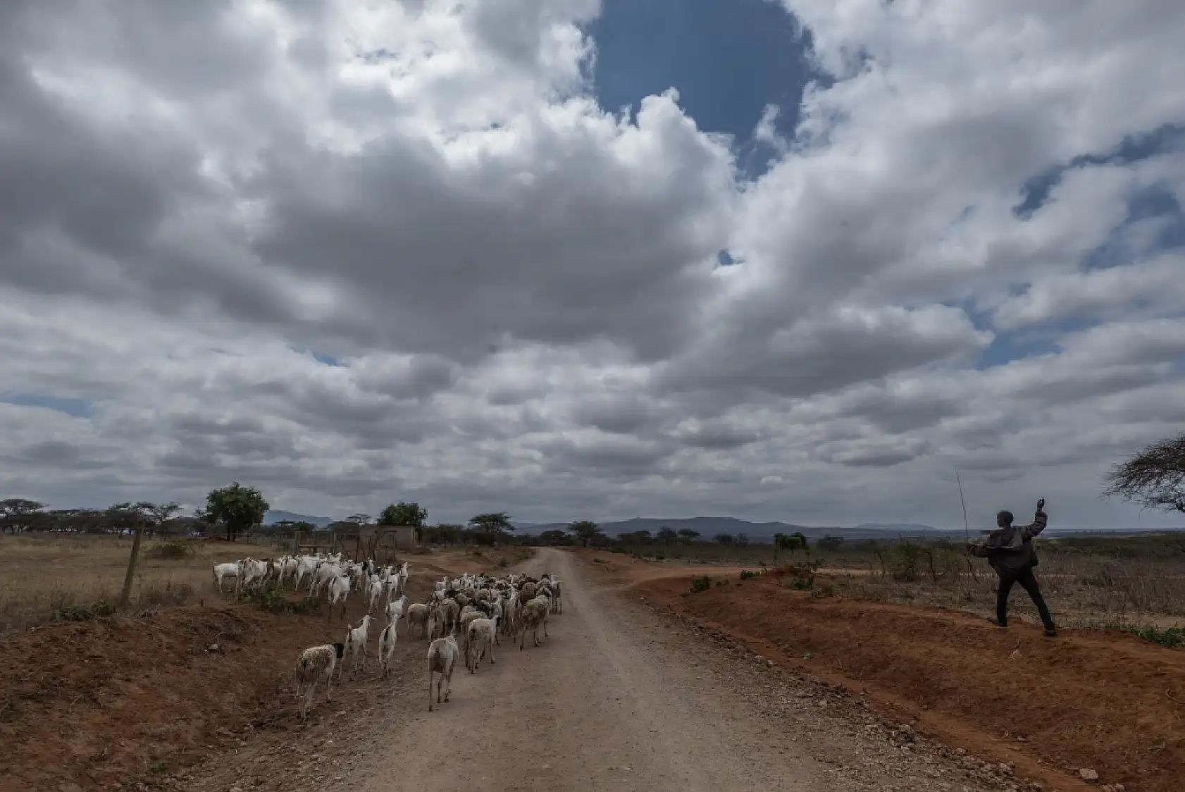 İklim değişikliği hayvancılıkla uğraşan halkı olumsuz etkiliyor