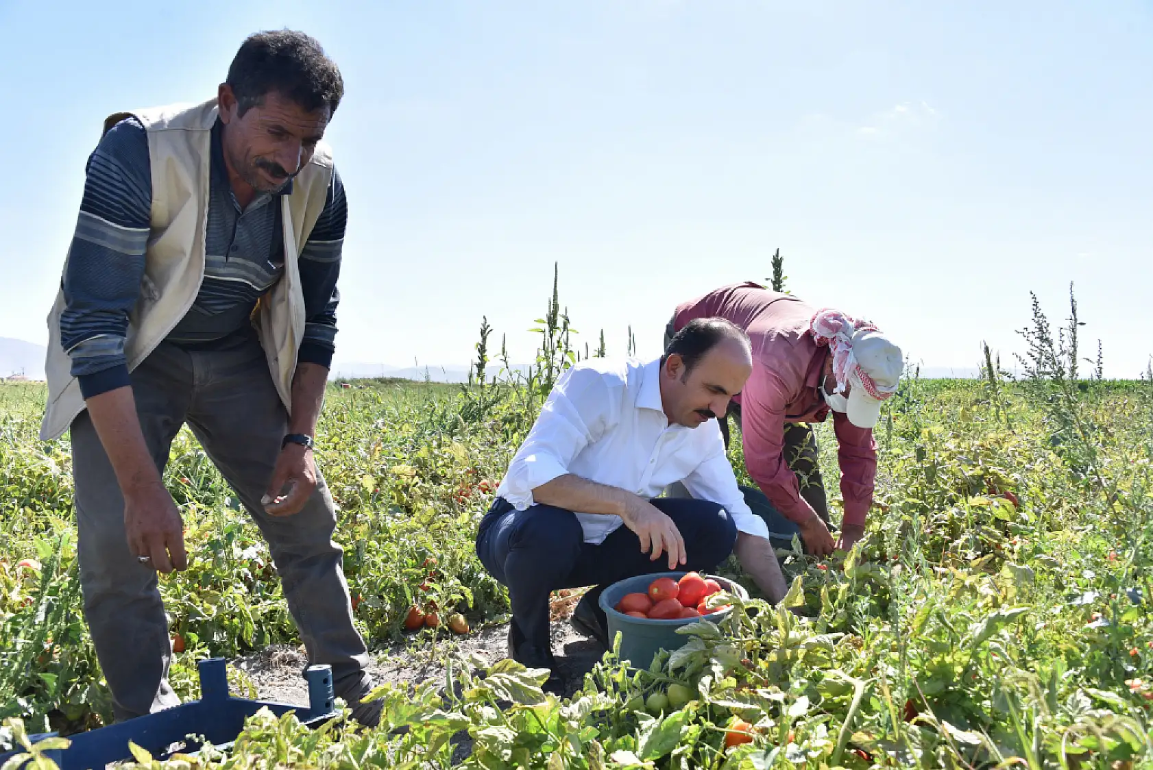 Toprağa umut eken kadınlara Başkan Altay'dan kutlama