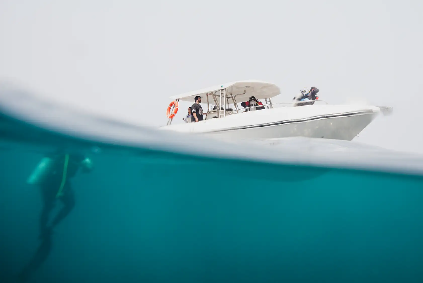 Mercan bahçeleri görsel şölen sunuyor