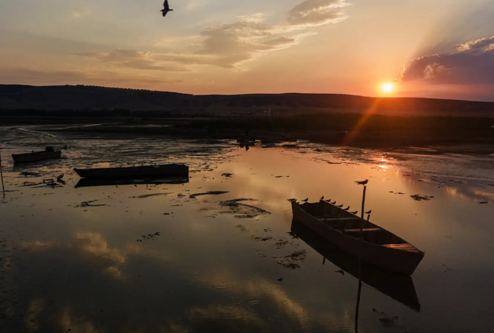 Avrupa ve Afrika'ya göç ederken, Konya'da konaklıyorlar!