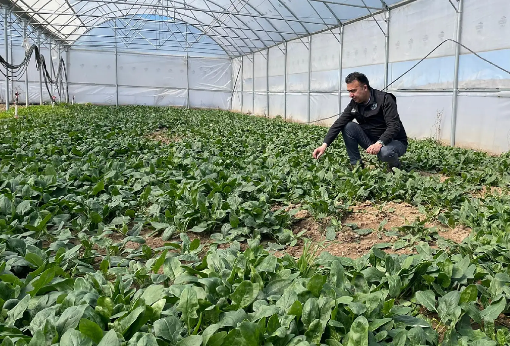 Konya tarımında sıfır risk hedefi: Üretim teknik takibe alındı