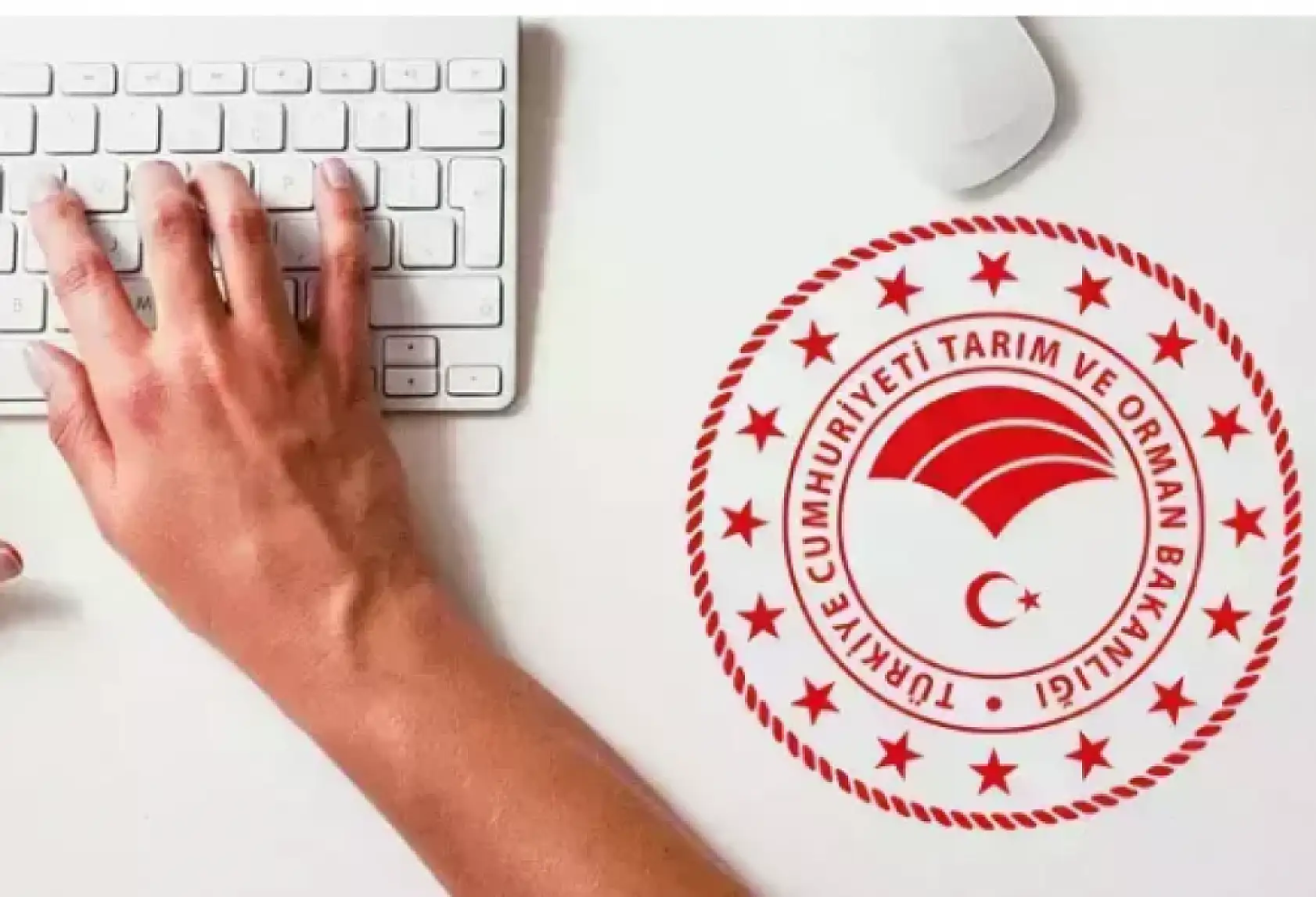 İş arayanlara müjde: Bakanlık alım yapacak!