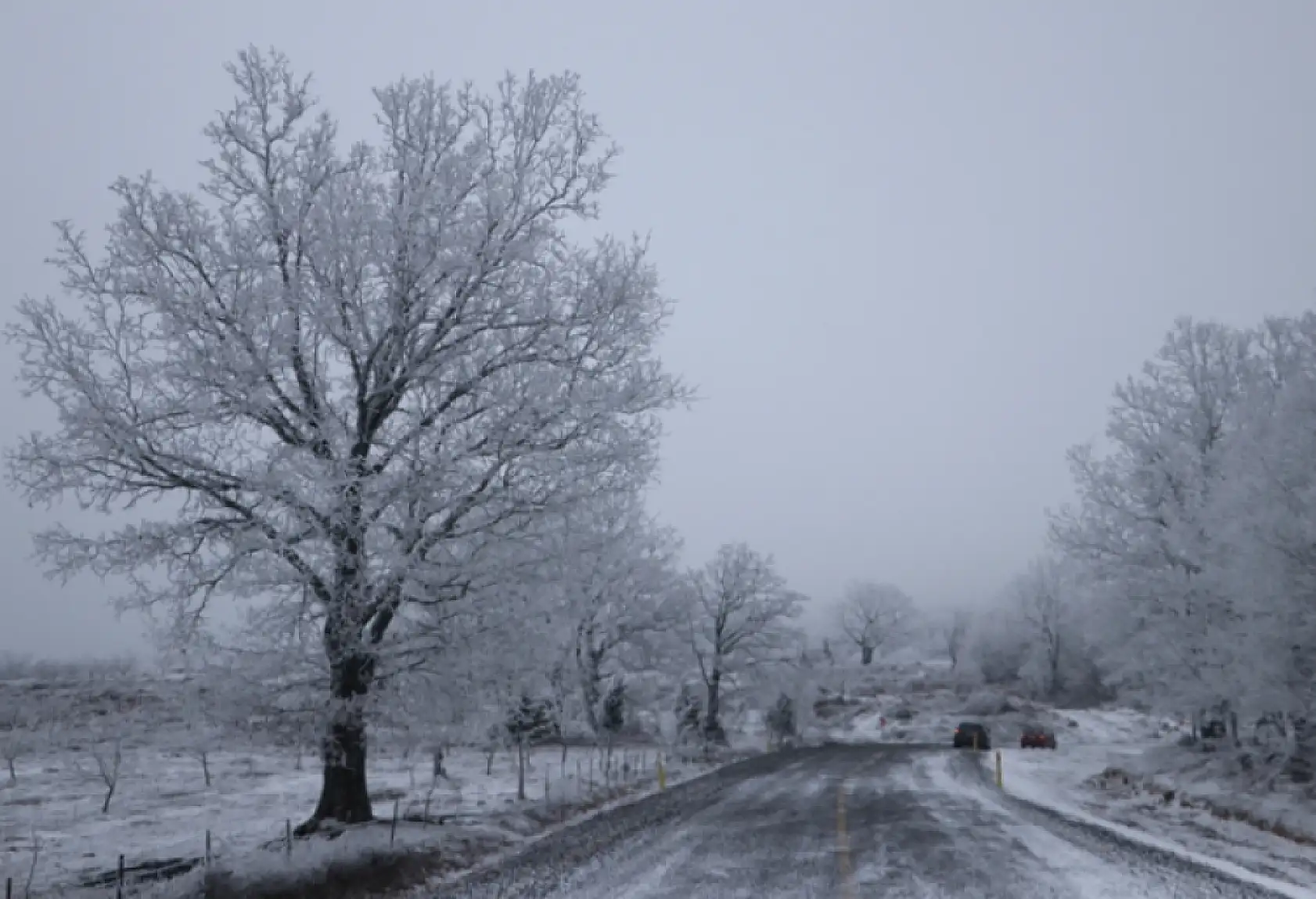 Dağlık alanda etkili ola kar yağışı güzelliğiyle mest etti!