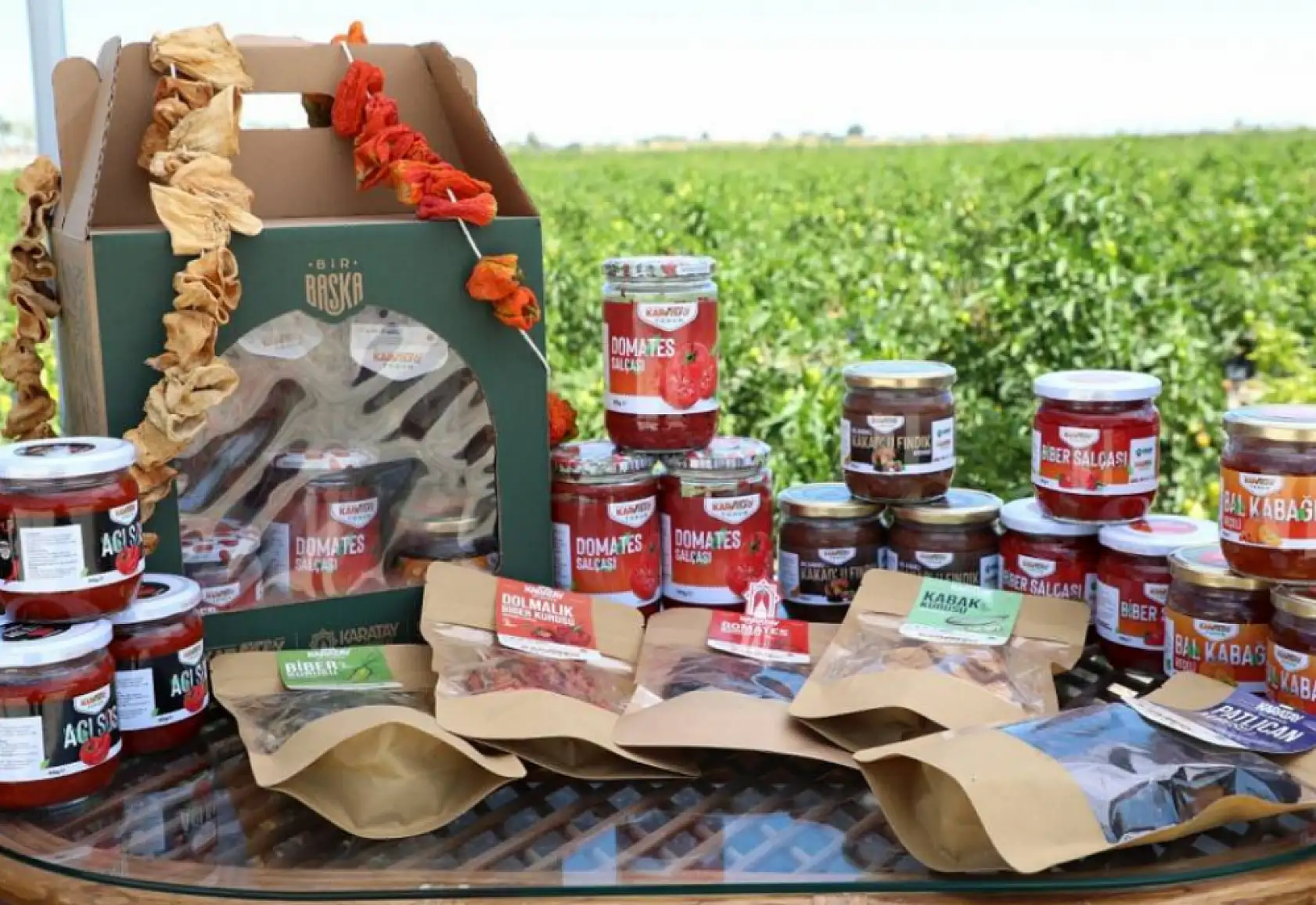 'Karatay Ata Tohum' projesi meyve vermeye başladı!