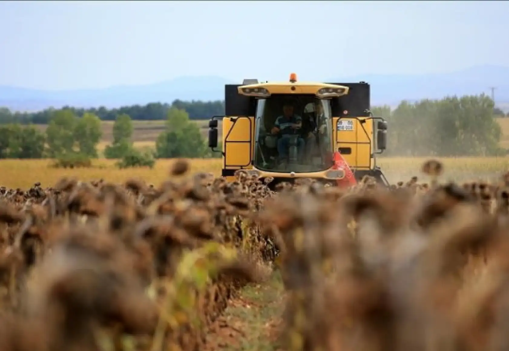 Çiftçiler müjde: Destek ödemeleri hesaplara yatırılıyor!