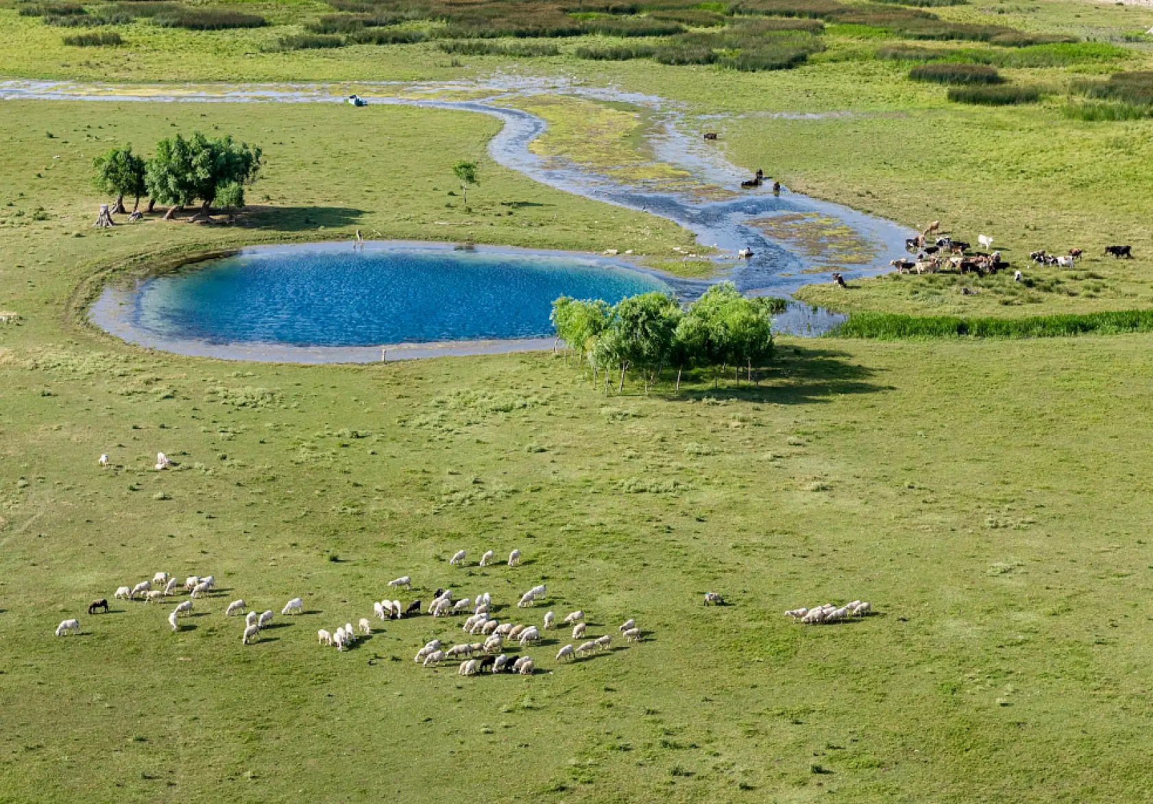 Beyşehir Gölü'nde şaşırtan manzara: Sular çekildi, gözeler ortaya çıktı!