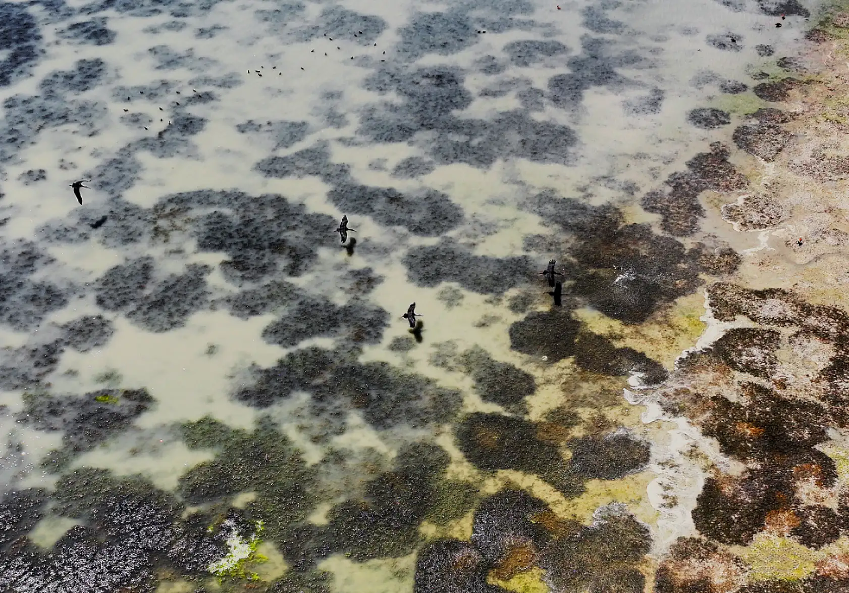 Konya'da su krizi derinleşiyor: Kuraklık baraj ve gölleri vurdu