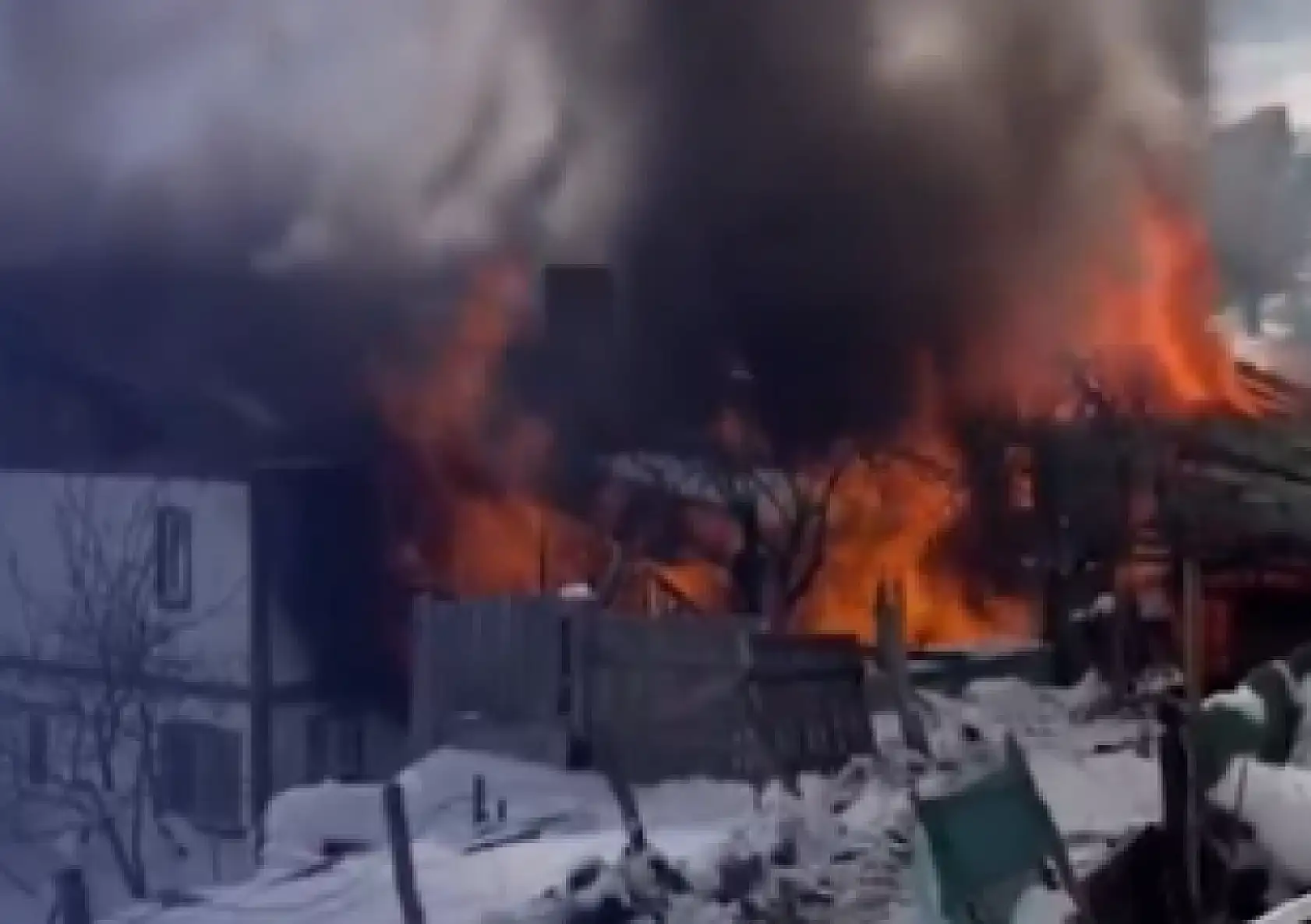 Yangın faciasında 50 hayvan telef oldu!