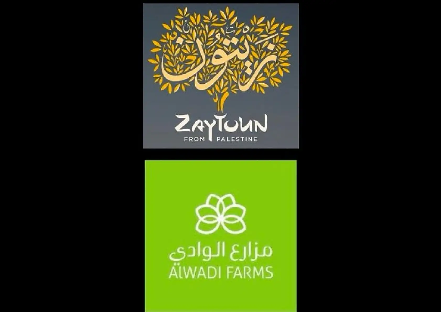 İsrail üretimi hurma markalarını boykot ediyorsanız, işte alternatif hurma markaları!