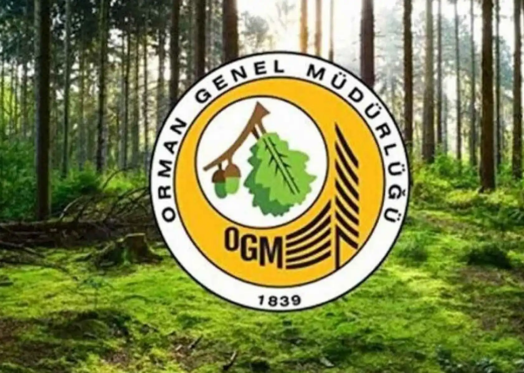 İş arayanlara müjde: Bakanlık alım yapacak!