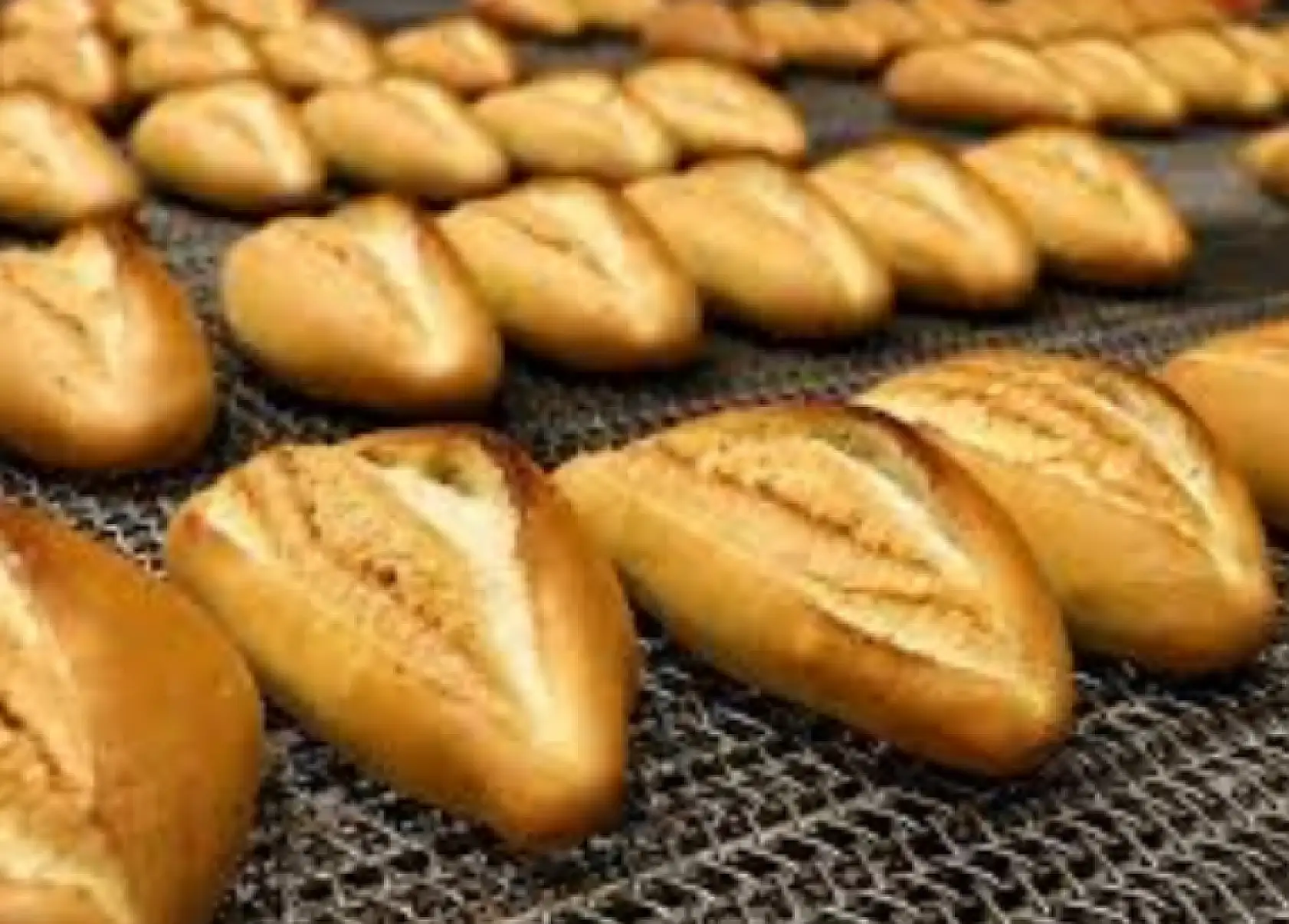 Konya'daki o adreste ekmek 6 TL oldu!