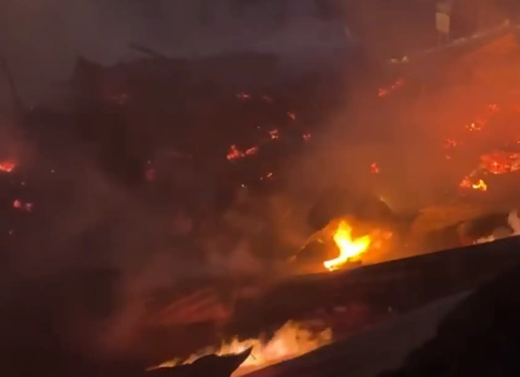 Yangın faciasında 50 hayvan telef oldu!