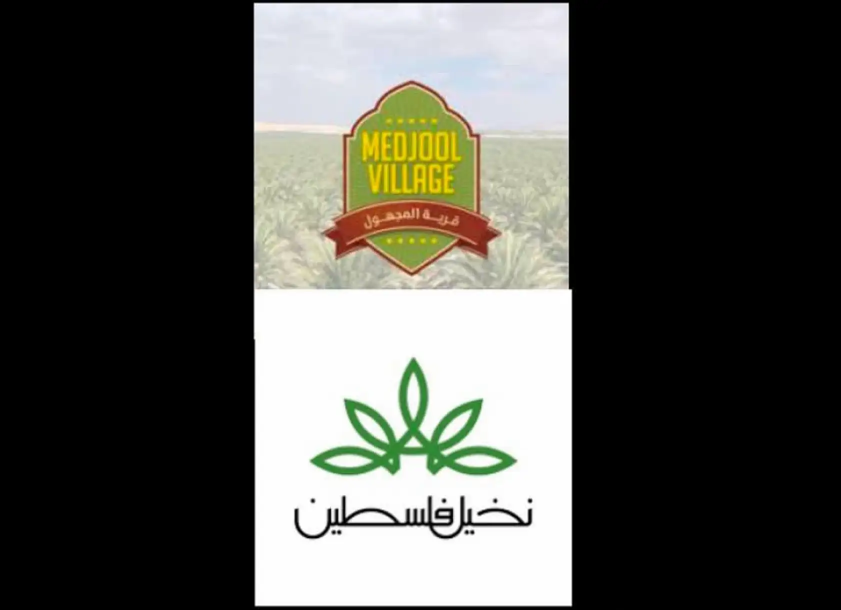 İsrail üretimi hurma markalarını boykot ediyorsanız, işte alternatif hurma markaları!