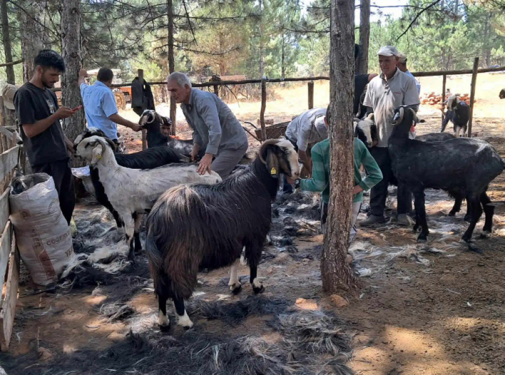 Konya'da yüz yıllık gelenek yaşatılıyor: 'Neredeyse bitme noktasına geldi'